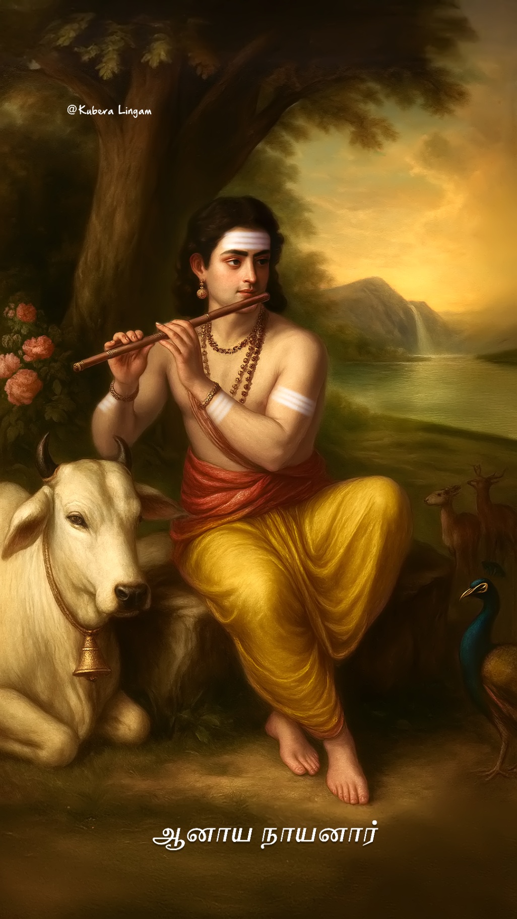 Anaya Nayanar
